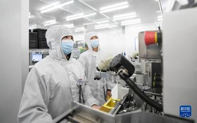 靠譜服務、技術推銷、標準開路——一家光通信企業(yè)的“出海秘籍”